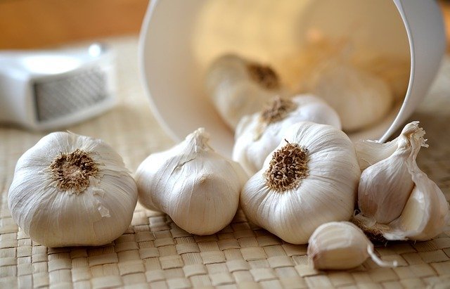 garlic-545223_640