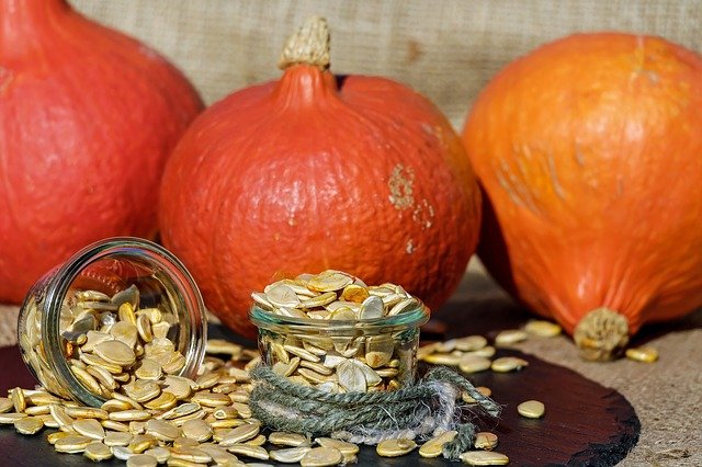 pumpkin-seeds-gc9caf03d2_640