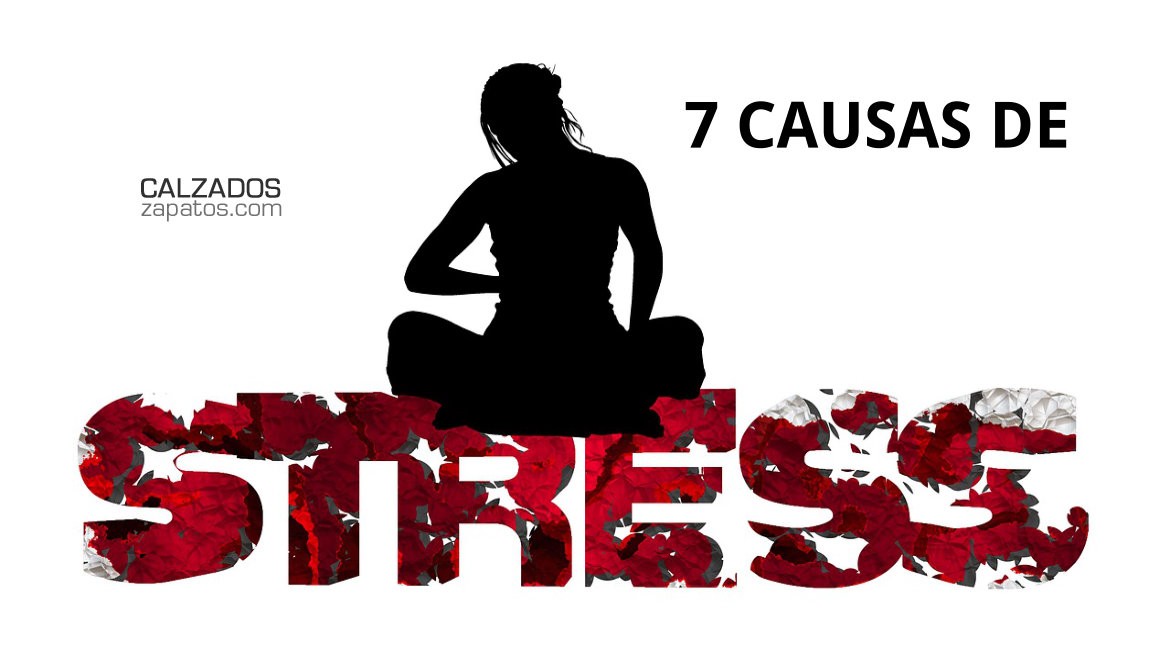 7 causas de estrés