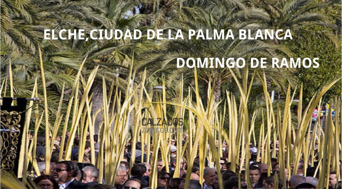The white palm: from Elche to the world.