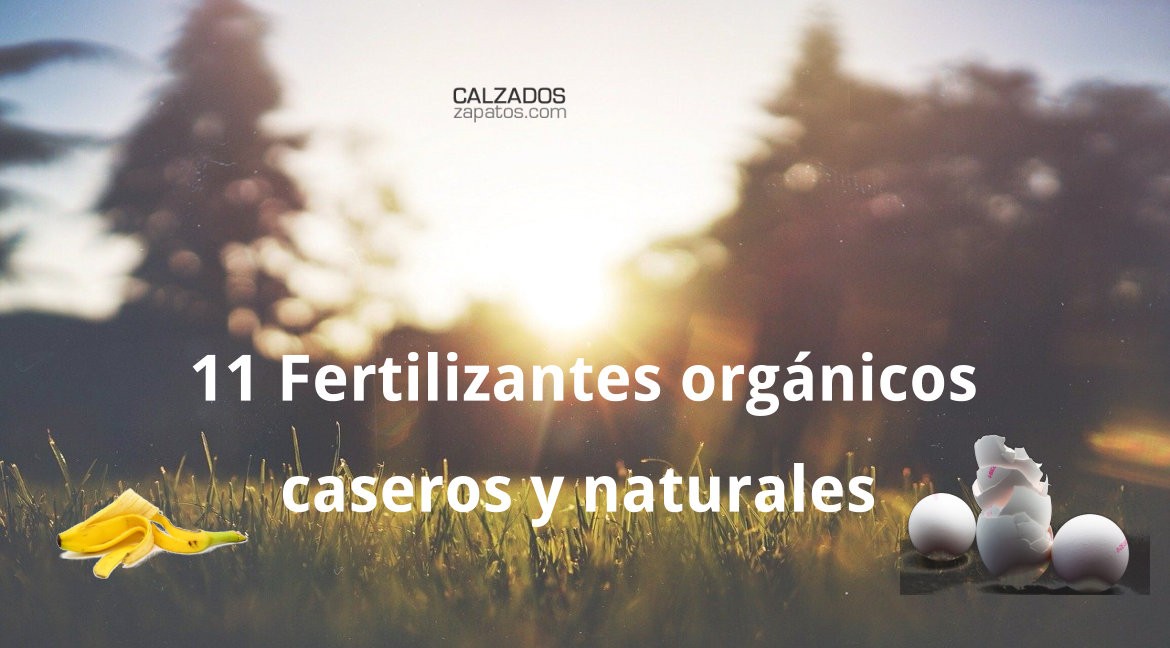 11 Fertilizantes orgánicos caseros y naturales