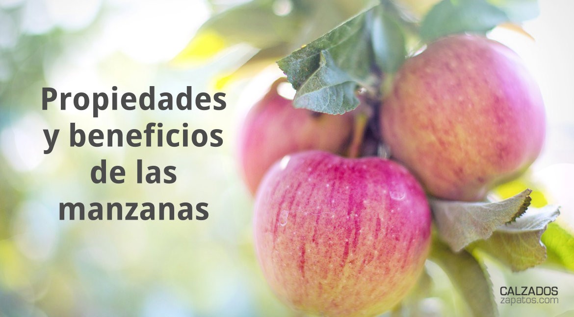 Properties and benefits of apples