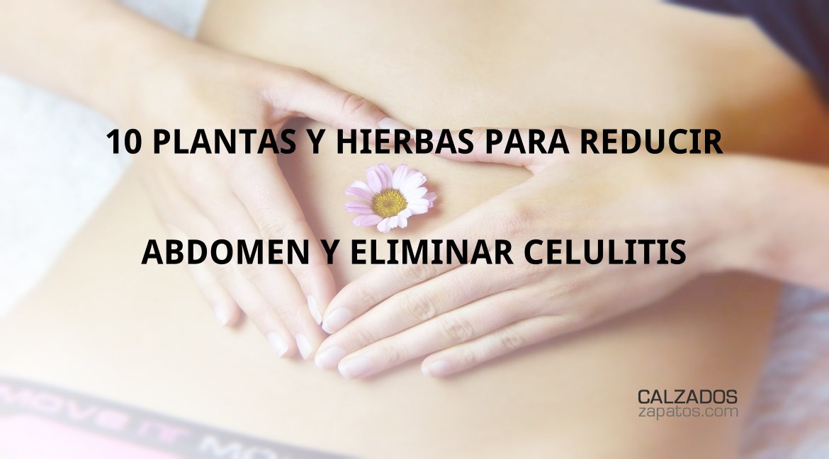 10 Plants and Herbs to Reduce Abdomen and Eliminate Cellulite